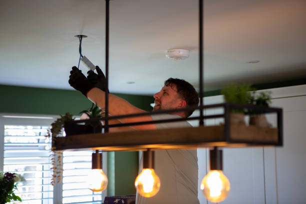 Best Electric Panel Repair  in Bushland, TX