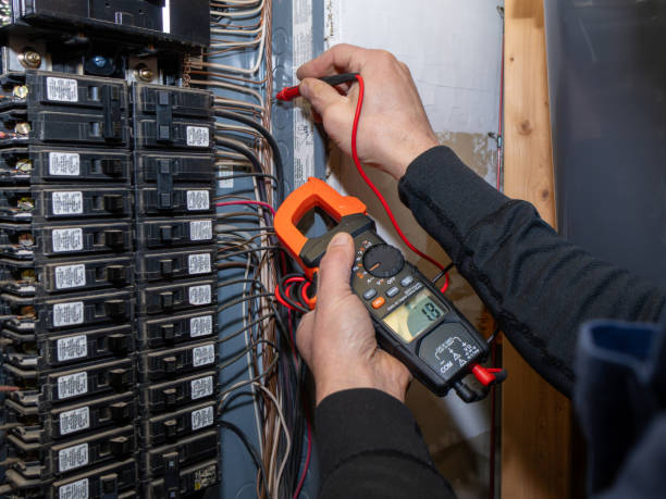 Best Local Electrician Companies  in Bushland, TX